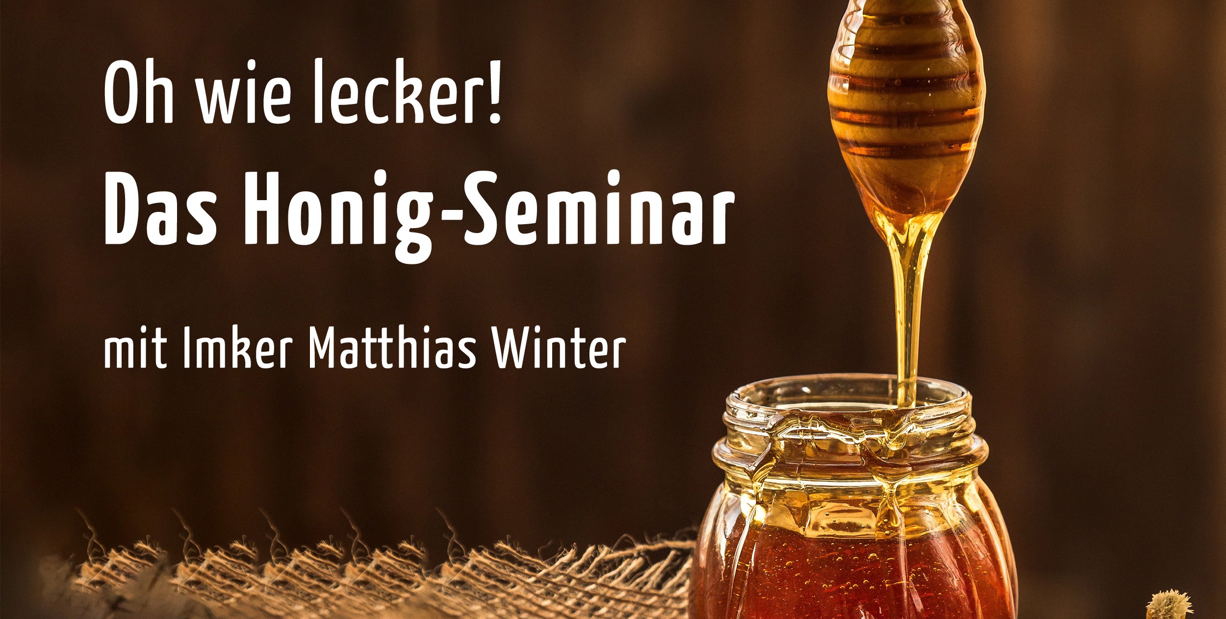 Seminar Faszination Honigbienen